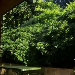 HUGE CLOSET CLEAR OUT!!!! major discounts on bundles!!! send an offer!!